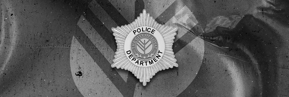 Lovat Police Department banner